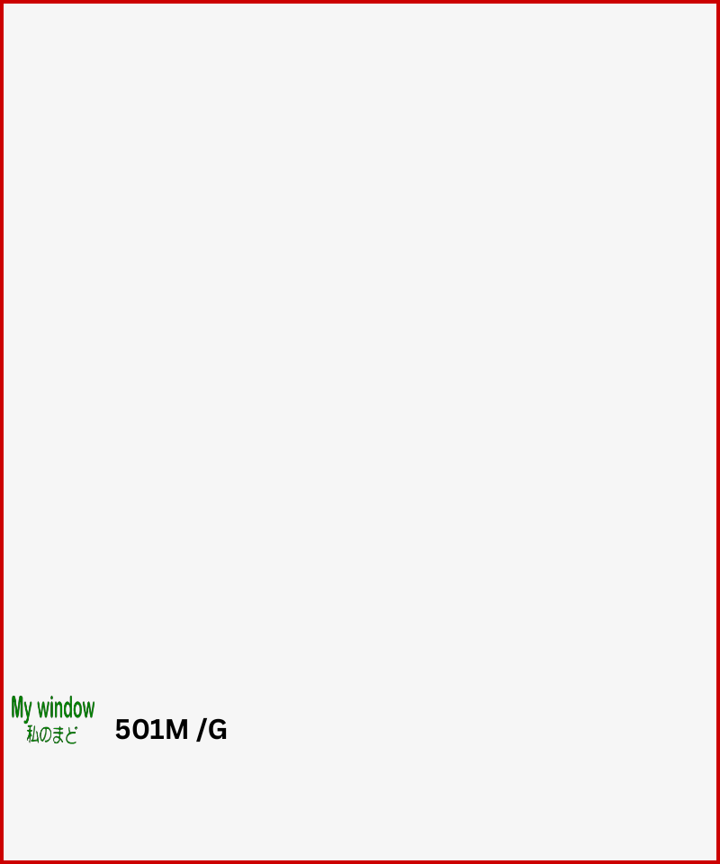 501M