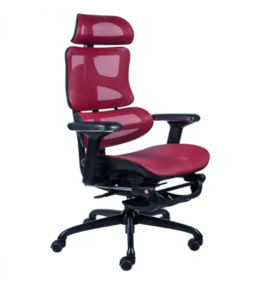 IP-M12/1 Ergo Mesh Highback Chair | Kerusi Ergonomik | 人体工学网椅 PAGOH | KLUANG | MUAR | BANDAR INDAHPURA | SENAI