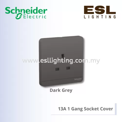 SCHNEIDER AvatarOn 13A 1 Gang Socket Cover - E83426C_DG_G11