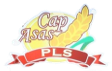 Brand 5
