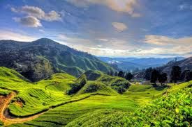 Singapore To Cameron Highlands