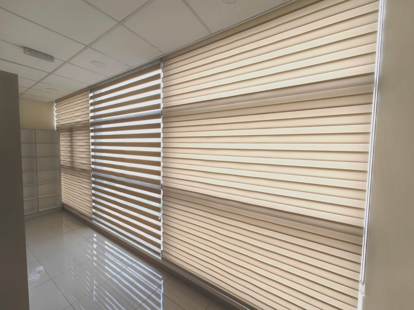 Zebra Blind
