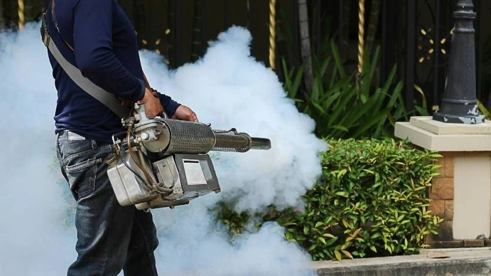 Mosquito Fogging Service
