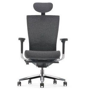 Magnificent Director Highback Office Ergonomic Chair OFNX220031
