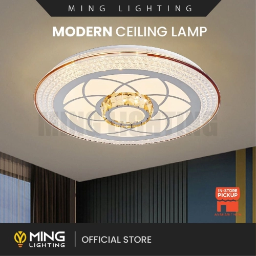 Modern Ceiling Lamp 13920