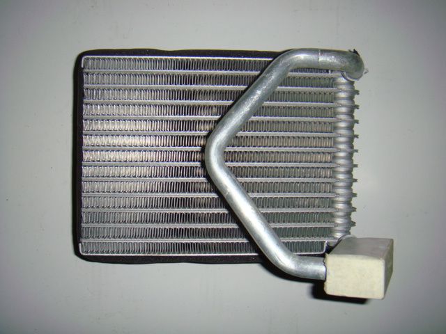 M/B 220 (Rear) PF (C) [SWJ-CZ-095]