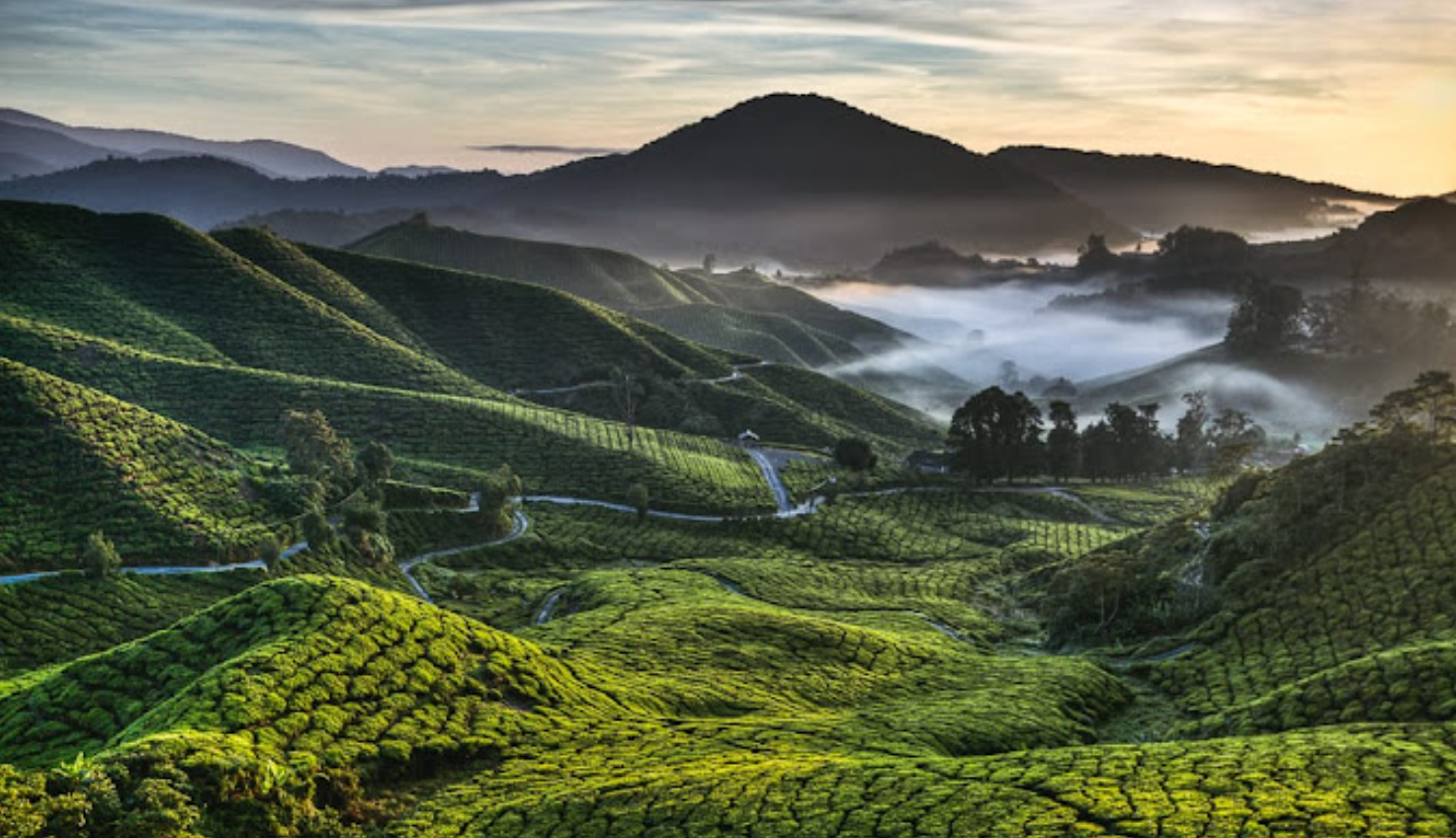 Singapore to Cameron Highland