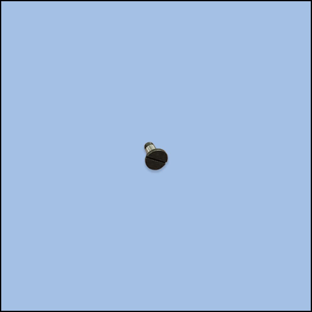 HINGE SCREW (23-0415)