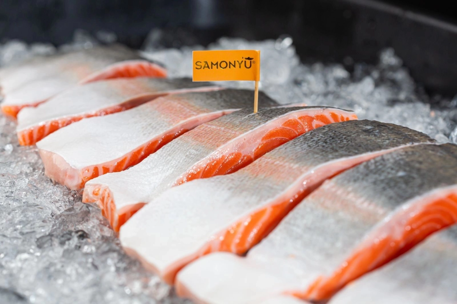 Salmon Fresh Foods