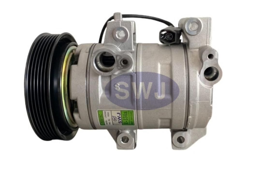 Maz 6 (2007) Val to 10S15C 6PK 12V R134a (C) [MAZ 026]