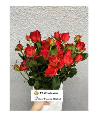 Buy Fresh Rose Spray Online | For Flower Arrangement