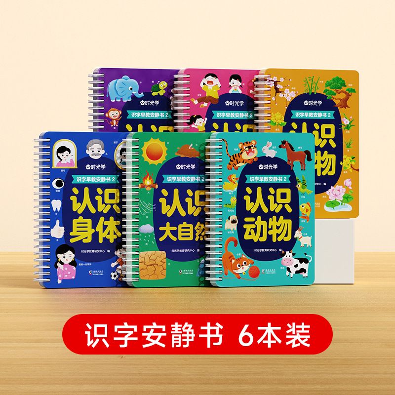 Learning Chinese Word Quiet Book-6 Books Repeatly Reuseable Reading Book Early Learning Education Book-B039