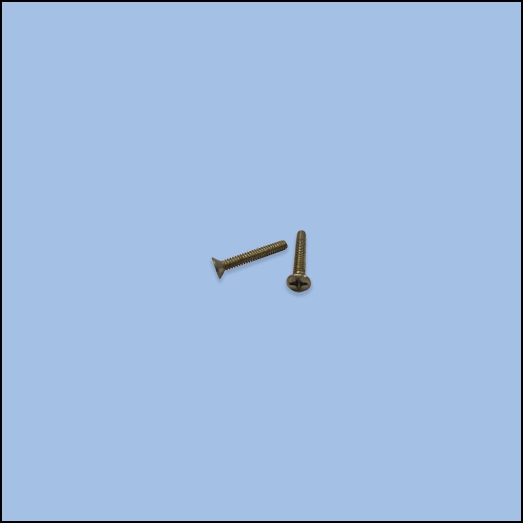 SCREW (302C8-2)