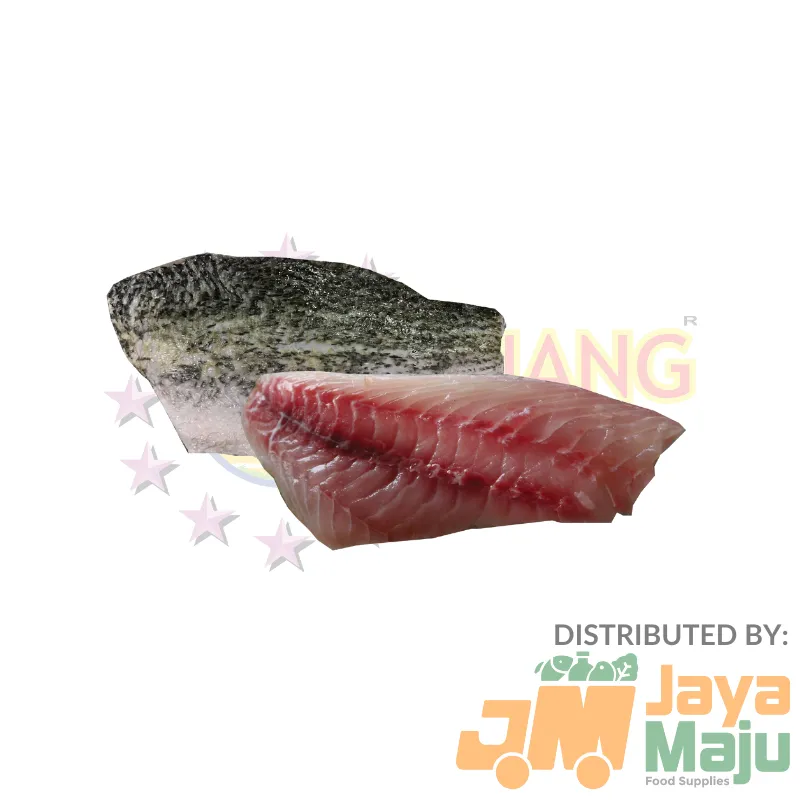 BARRAMUNDI (SEABASS) FILLET / FILET SIAKAP