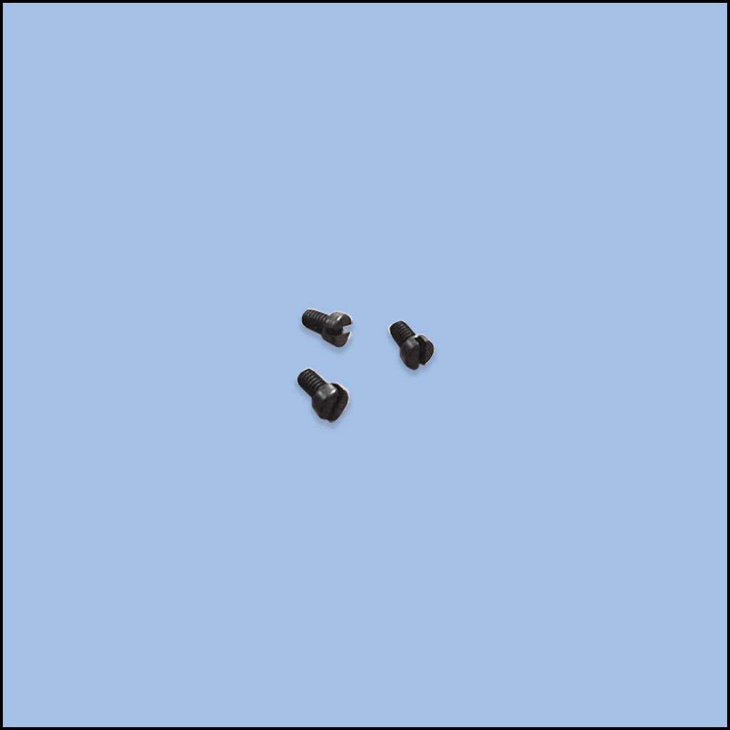 SCREW (84-1620-0)