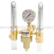 Twin Flowmeter