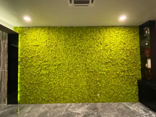 Moss Wall