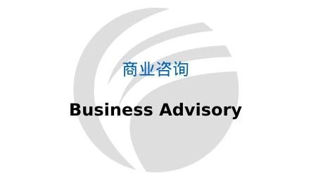 商业咨询 Business Advisory
