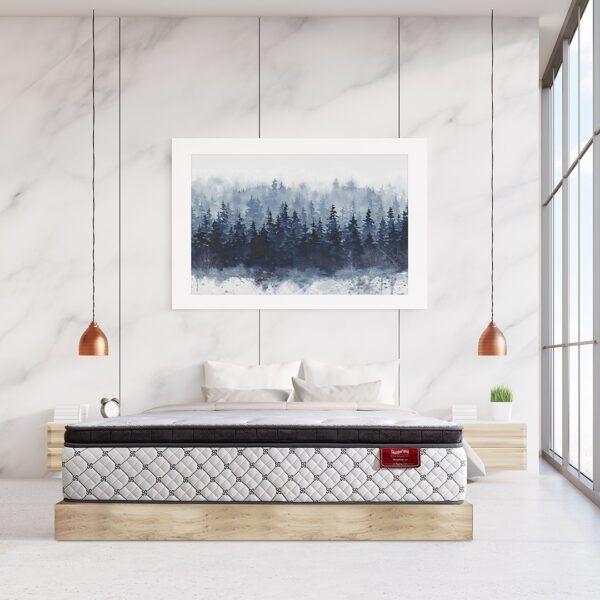 TEMPSMART SERIES I 5.0 Regina II Mattress