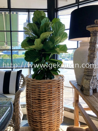 RAP 023 - RATTAN PLANTER