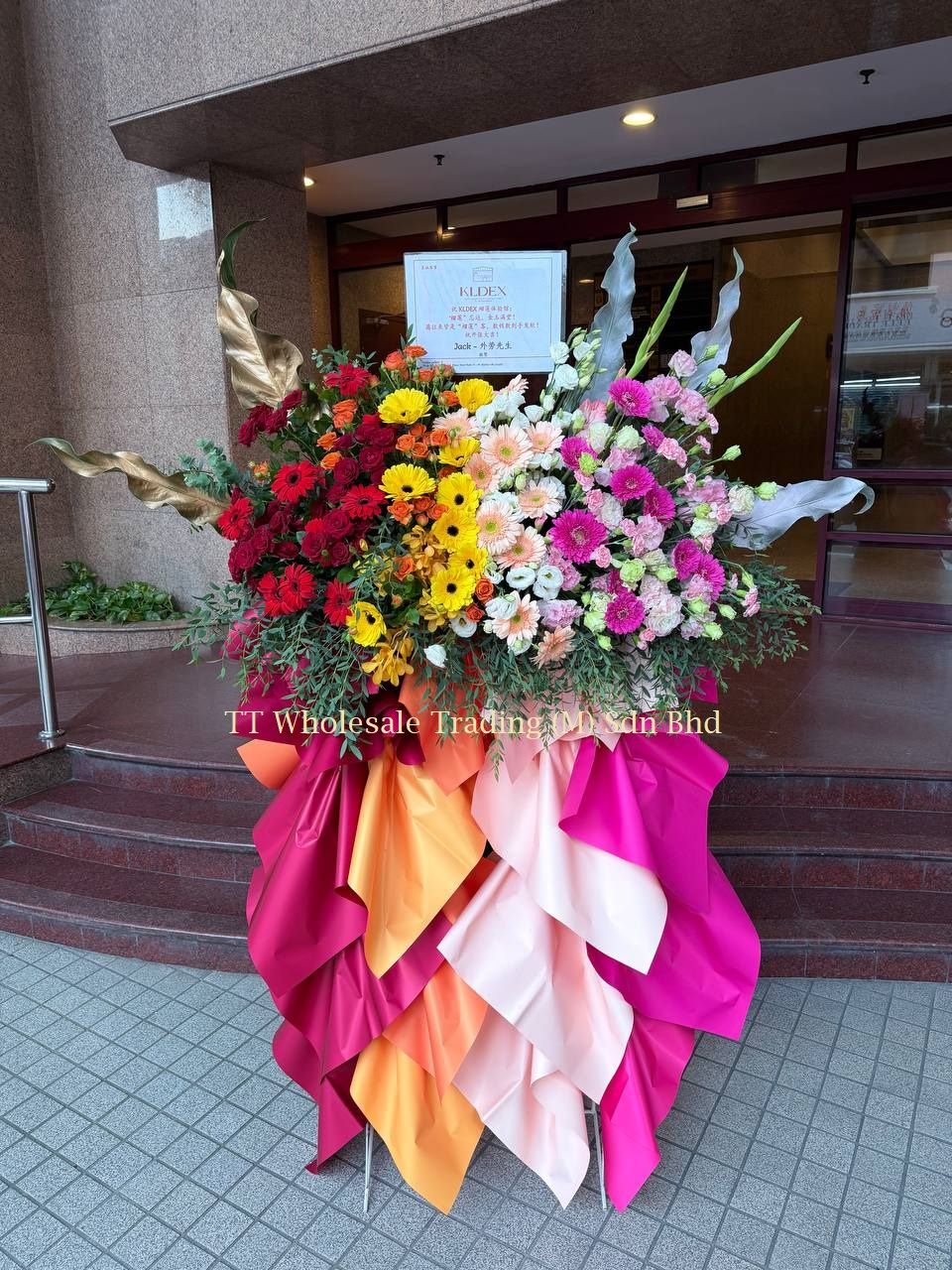 Large & Colorful Opening Stand for Sale | Perfect for Launch Events (G020)