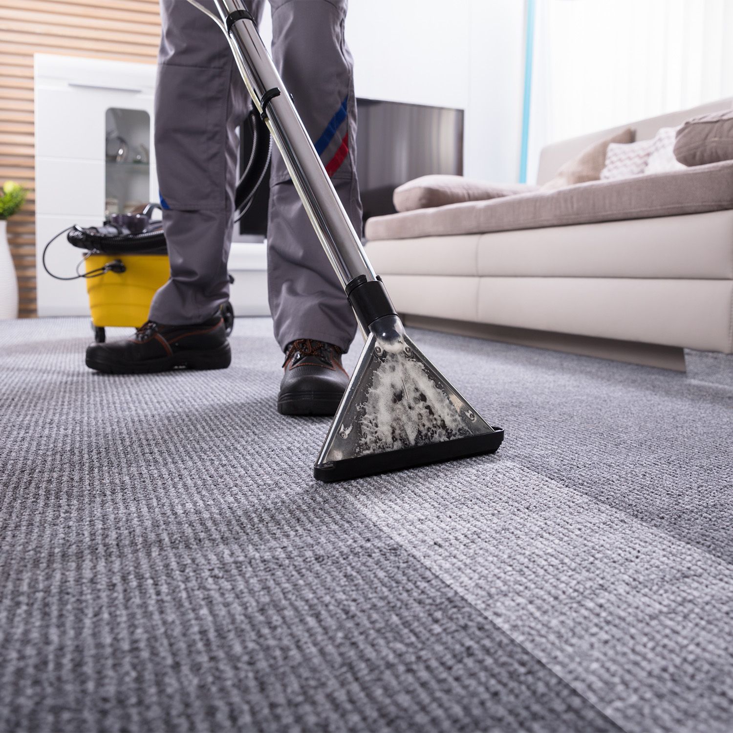 Carpet & Upholstery Cleaning Service