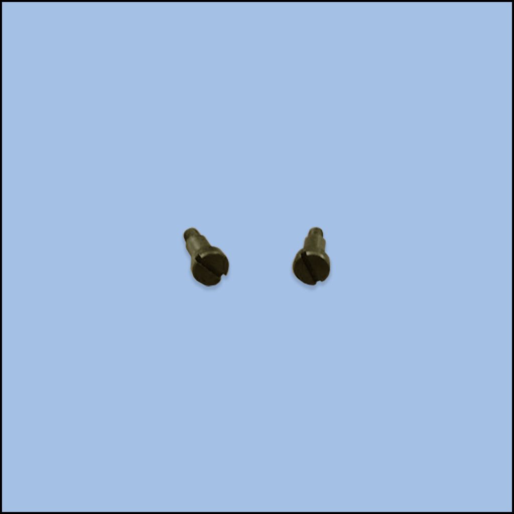 CAM SHAFT SPRING SCREW (20C12-13)