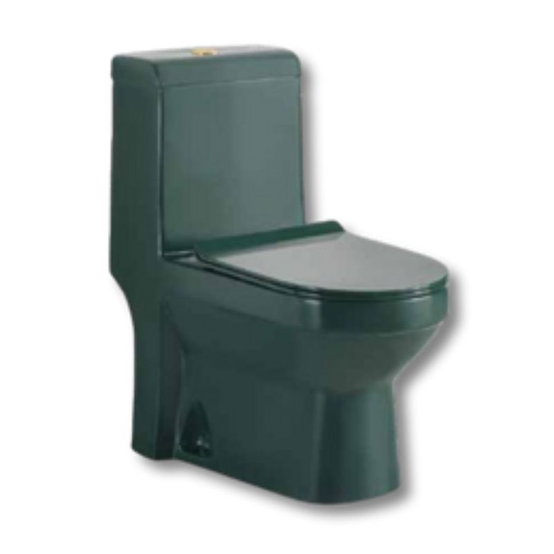 Veroware One-Piece Water Closet