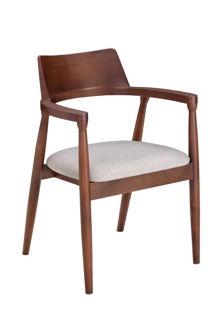 Fendi Cushion Seat Dining Chair