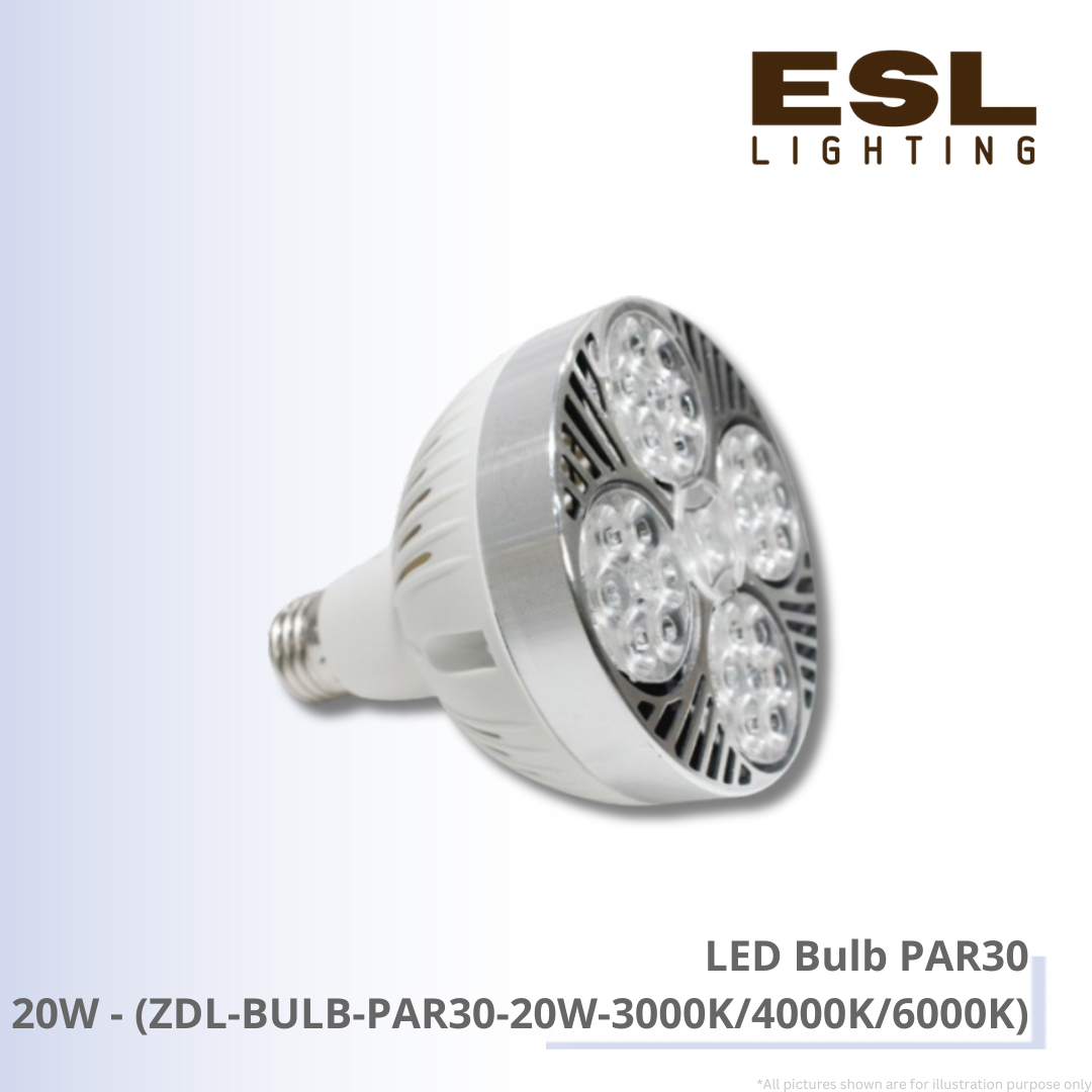 LED Bulb PAR30 20W - ZDL-BULB-PAR30-20W-3000K/4000K/6000K