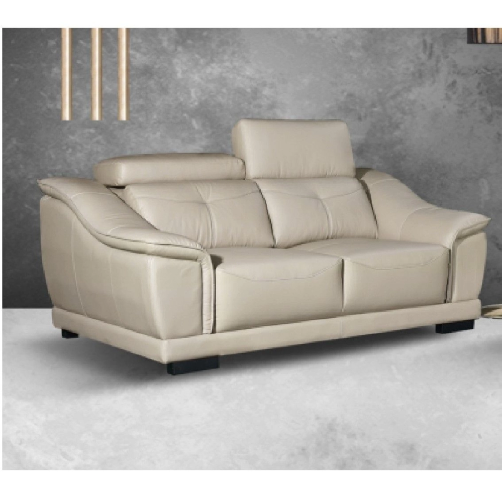 Torry Sofa 2 Seater (Half Leather)