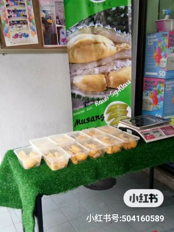 Raub Musang King