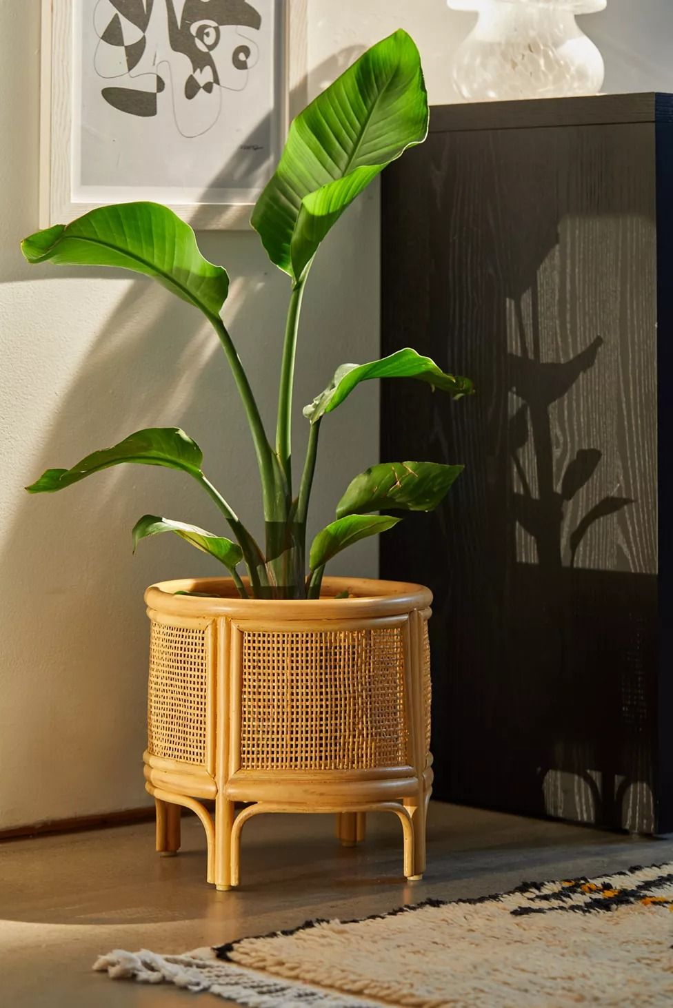 RAP 019 - RATTAN PLANTER
