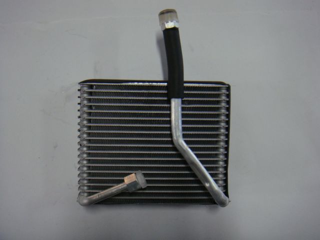 Per.Kelisa ND PF (C) [SWJ-CZ-172]