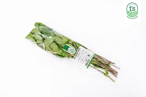 Thai Basil 60gm+-