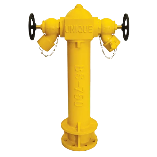 2-Way Fire Hydrant with Landing Valve