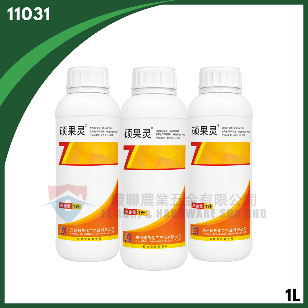 Shuoguo Ling (1L)