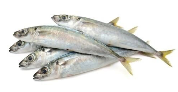 Frozen Ikan Selayang Supplier Malaysia | Cheong Vege