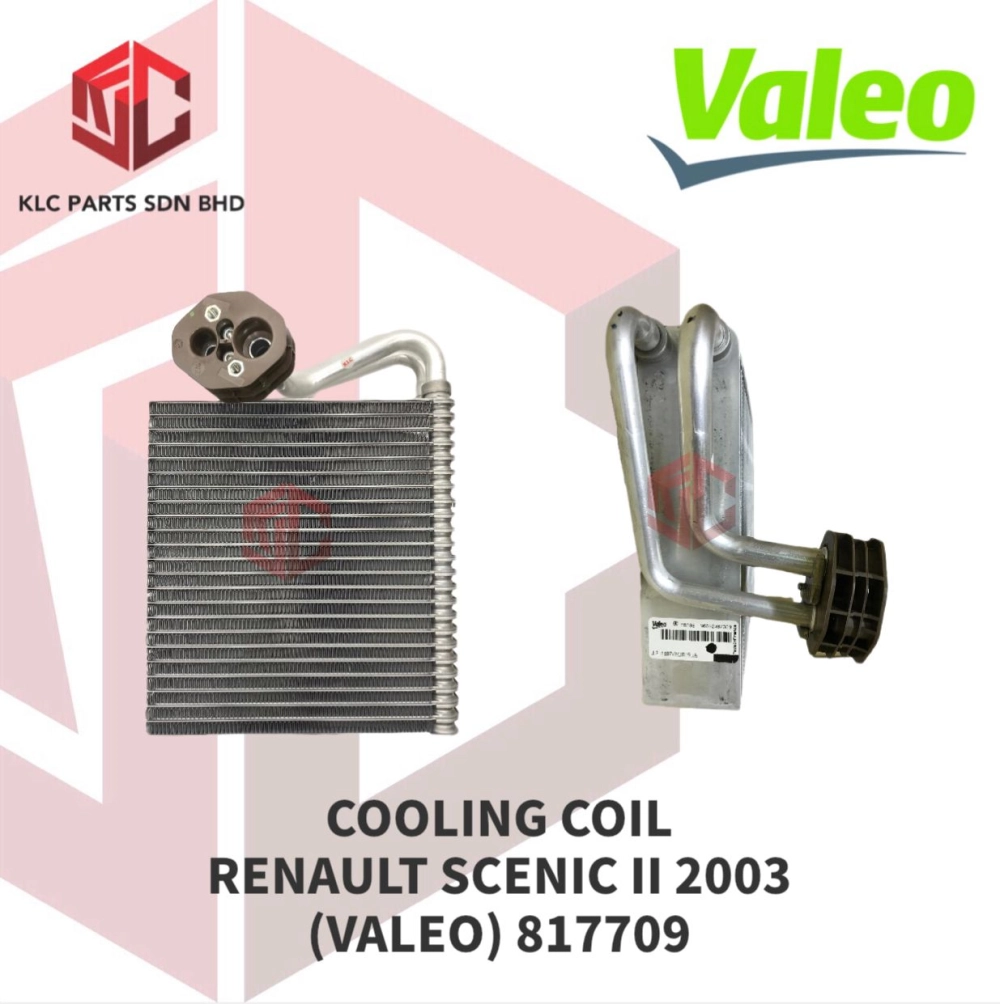 COOLING COIL RENAULT SCENIC II 2003 (VALEO) 817709