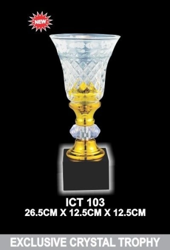 Exclusive Crystal Trophy - ICT 103