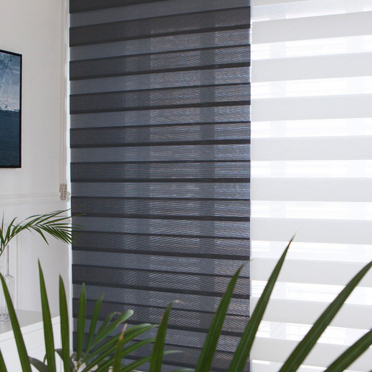 Zebra Blinds Black Transparent