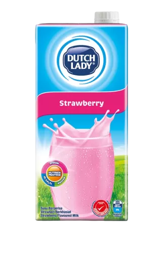 DUTCH LADY STRAWBERRY MILK 1L / 1 CTN