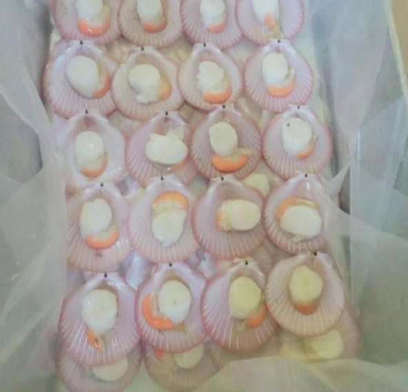 Half shell pink scallop 半壳扇贝 （带膏）