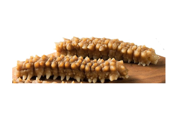 Sea Cucumber