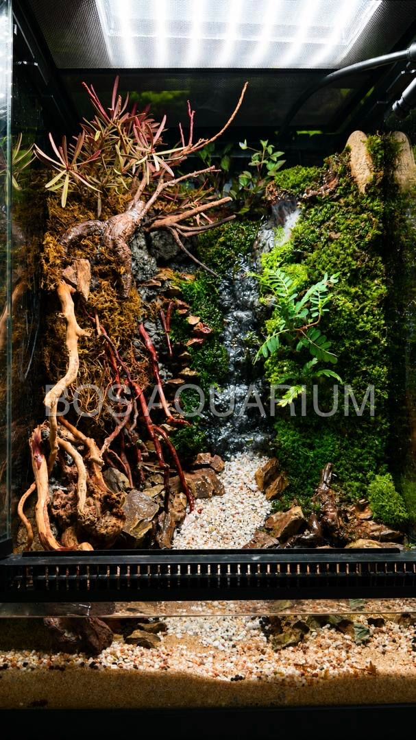Exoterra Pro Paludarium 30x30x45cm