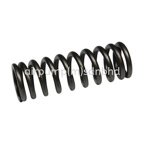 Engine Valve Spring