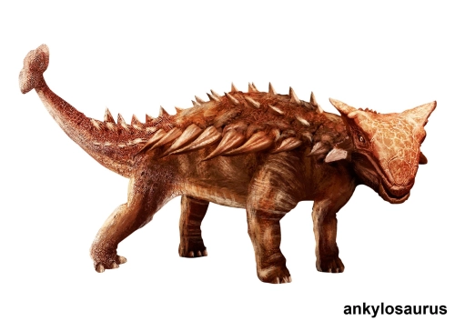 Ankylosaurus