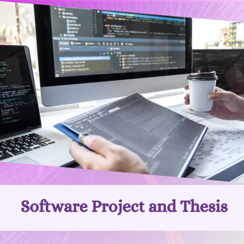 软件项目与论文