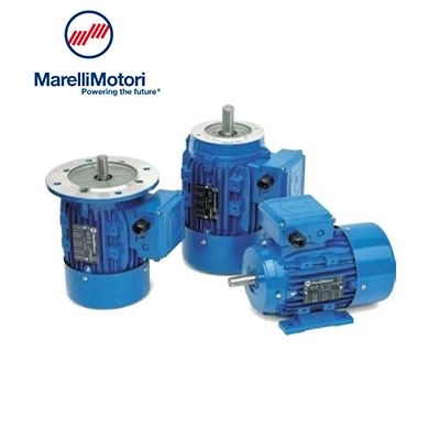 MarelliMotori AC Motors