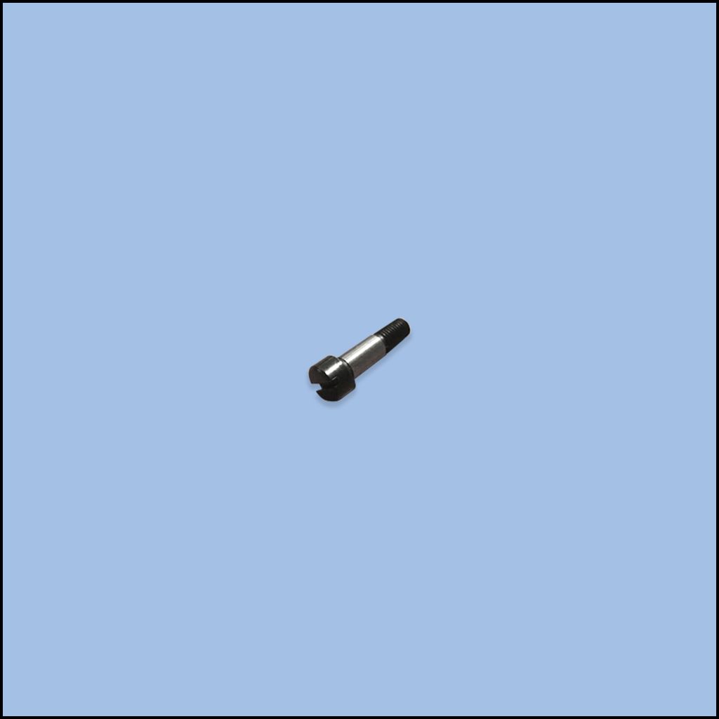 SCREW (84-6080-0)